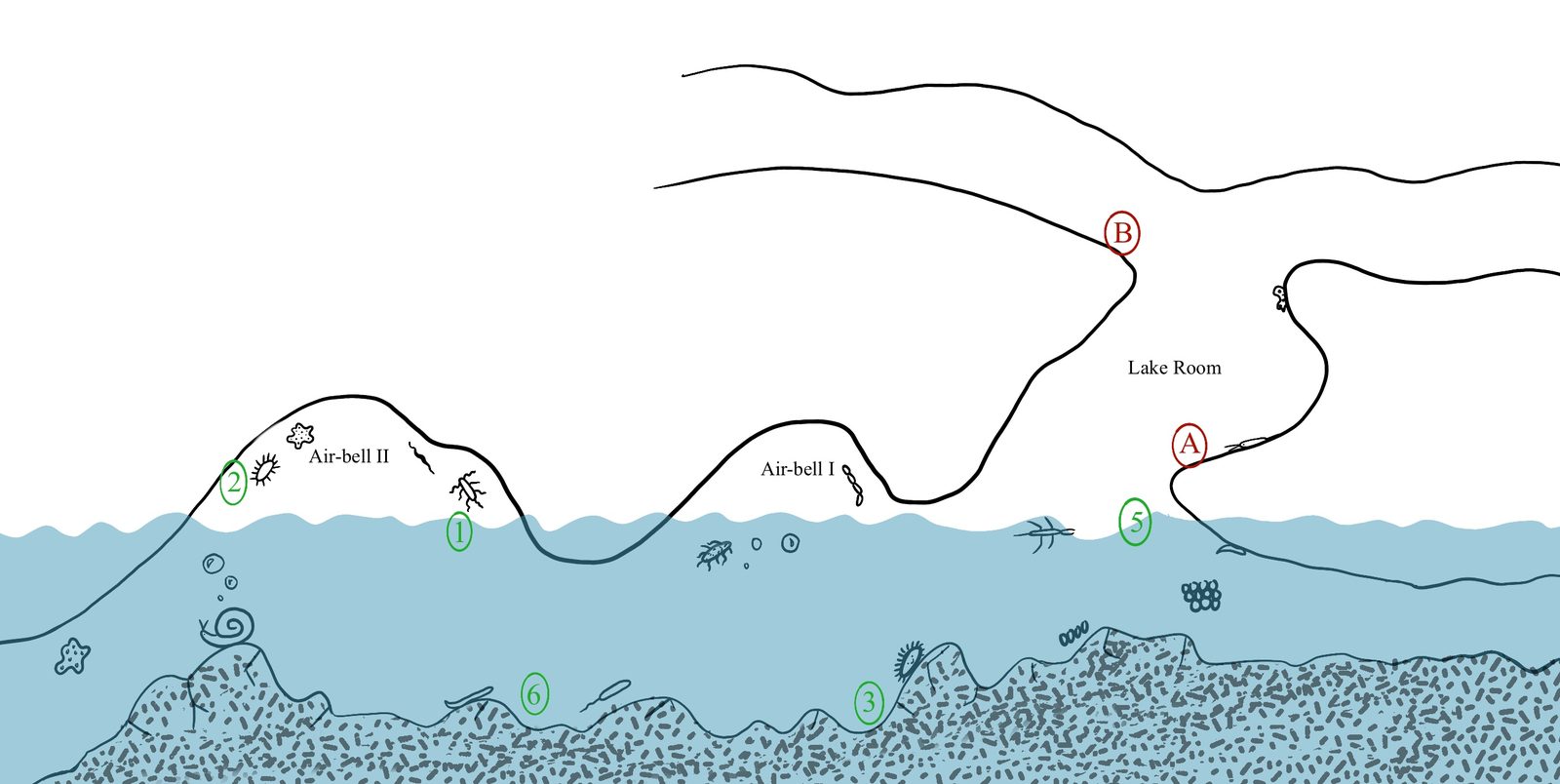 Schematische Querschnittszeichnung der Movile-Höhle mit dem Lake Room und den beiden abgeschlossenen Luftglocken Air-Bell I und Air-Bell II über dem blau dargestellten Höhlenwasser.