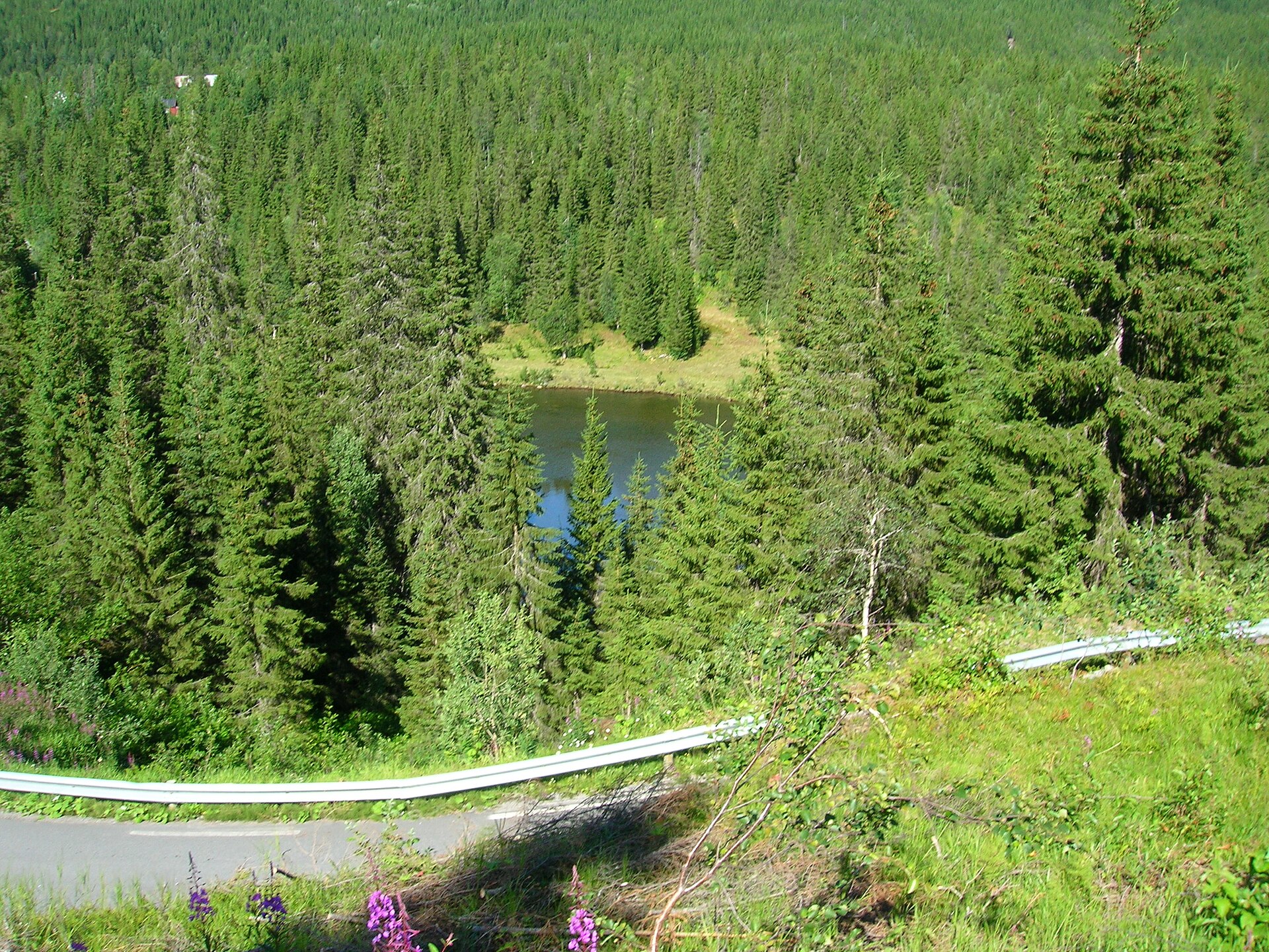 Der Fluss Plura im Plurdalen in Nordland, Norwegen