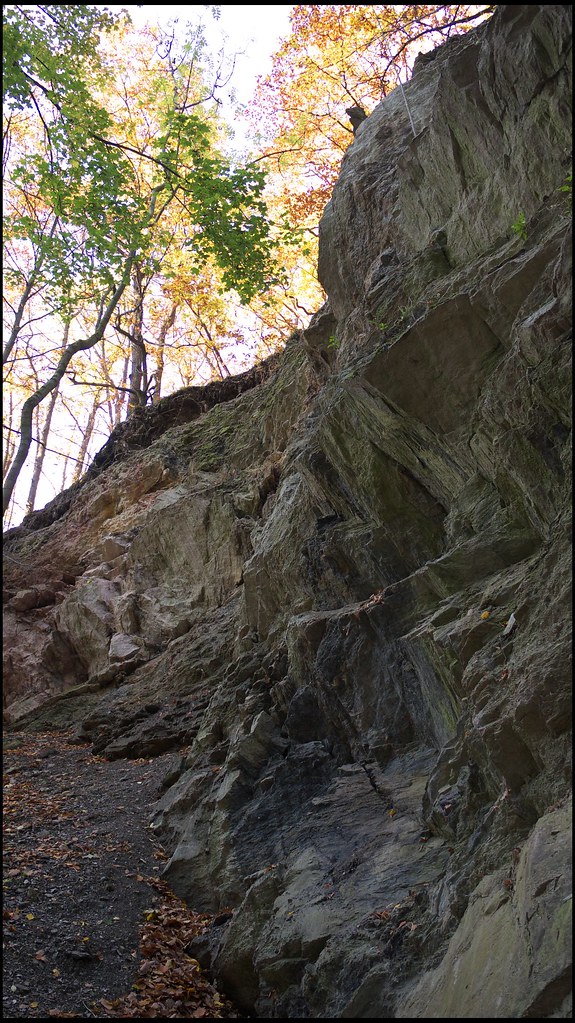 51893368780_88e12959f6_b.jpg